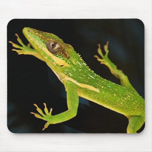 Green Anole Muismat (Voorkant)