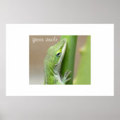 Green Anole Poster (Voorkant)