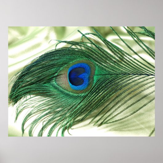 Green Apple Peacock Sill Life Poster (Voorkant)