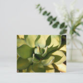 "Green Arizona" Briefkaart (Staand voorkant)