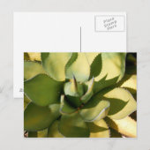 "Green Arizona" Briefkaart (Voorkant / Achterkant)