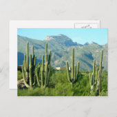 "Green Arizona" Briefkaart (Voorkant / Achterkant)