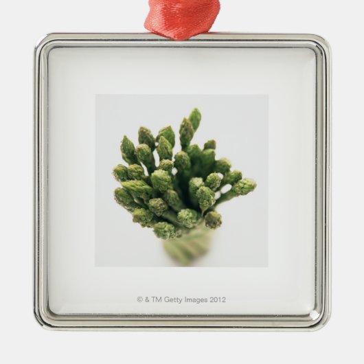 Green Asparagus Metalen Ornament (Voorkant)