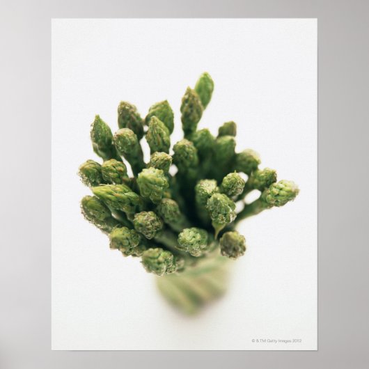 Green Asparagus Poster (Voorkant)