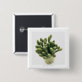 Green Asparagus Vierkante Button 5,1 Cm (Voorkant /achterkant)