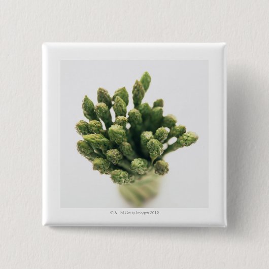 Green Asparagus Vierkante Button 5,1 Cm (Voorkant)