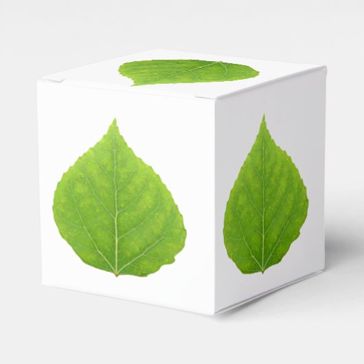 Green Aspen Leaf #11 Bedankdoosjes (Voorkant Zijde)
