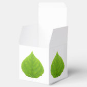 Green Aspen Leaf #11 Bedankdoosjes (Geopend)