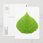 Green Aspen Leaf #11 Briefkaart (Voorkant / Achterkant)