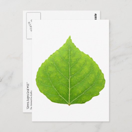 Green Aspen Leaf #11 Briefkaart (Voorkant / Achterkant)