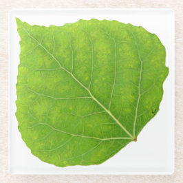 Green Aspen Leaf #11 Glazen Onderzetter