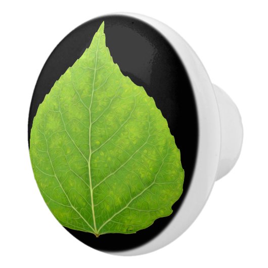 Green Aspen Leaf #11 Keramische Knop (Rechts)