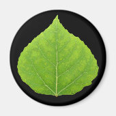 Green Aspen Leaf #11 Magneet (Voorkant)