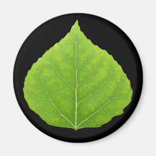 Green Aspen Leaf #11 Magneet