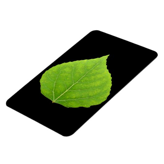 Green Aspen Leaf #11 Magneet (Linkerzijde)