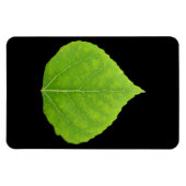 Green Aspen Leaf #11 Magneet (Horizontaal)