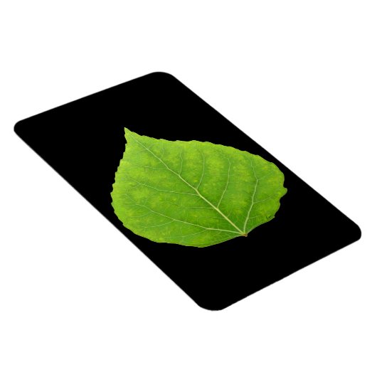 Green Aspen Leaf #11 Magneet (Rechterzijde)