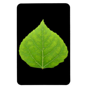 Green Aspen Leaf #11 Magneet