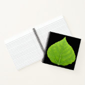 Green Aspen Leaf #11 Notitieboek (Binnen)