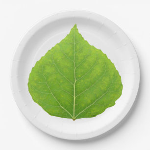Green Aspen Leaf #11 Papieren Bordje
