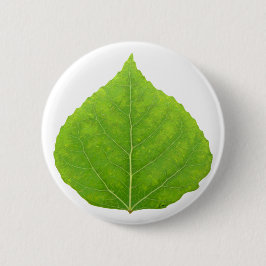 Green Aspen Leaf #11 Ronde Button 5,7 Cm