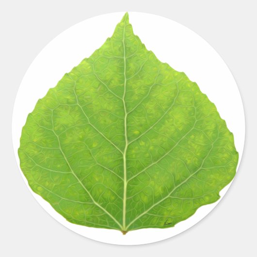 Green Aspen Leaf #11 Ronde Sticker (Voorkant)