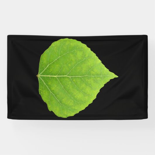 Green Aspen Leaf #11 Spandoek (Horizontaal)