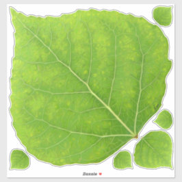 Green Aspen Leaf #11 Sticker