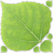Green Aspen Leaf #11 Sticker (Voorkant)