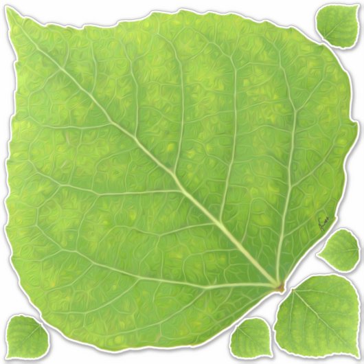 Green Aspen Leaf #11 Sticker (Voorkant)