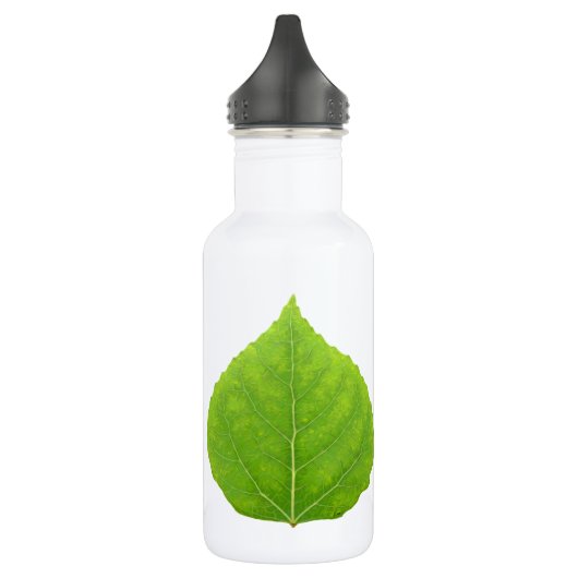 Green Aspen Leaf #11 Waterfles (Links)