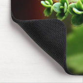 Green Baby Succulents Plant Natuur Foto Mousepad Muismat (Hoek)