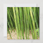Green Bamboo Asian Vrijgezellenfeest Kaart (Achterkant)