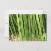 Green Bamboo Asian Wedding Response Card RSVP Kaartje (Achterkant)