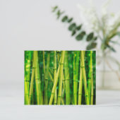 Green Bamboo Briefkaart (Staand voorkant)