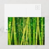 Green Bamboo Briefkaart (Voorkant / Achterkant)