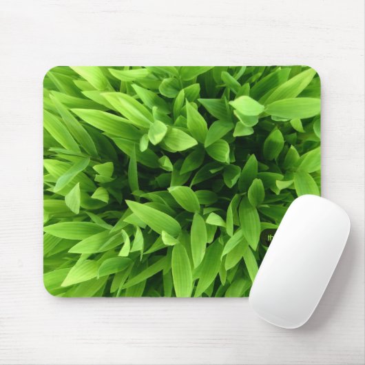 Green Bamboo mousepad Muismat (Met muis)