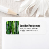 Green Bamboo Stalks Natuur Fotografie Etiket (Insitu)