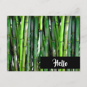 Green Bamboo Stalks Natuur Fotografie Hallo Briefkaart