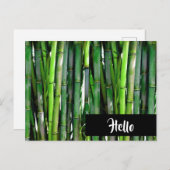 Green Bamboo Stalks Natuur Fotografie Hallo Briefkaart (Voorkant / Achterkant)