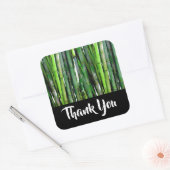 Green Bamboo Stalks Natuur Fotografie Hartelijk da Vierkante Sticker (Envelop)