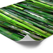 Green Bamboo Stalks Natuur Fotografie Poster (Hoek)