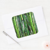 Green Bamboo Stalks Natuur Fotografie Vierkante Sticker (Envelop)