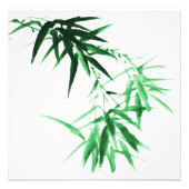 Green Bamboo Twig Foto Afdruk (Voorkant)