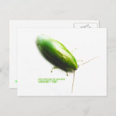 Green Banana Cockroach - Panchlora investeringsa Briefkaart (Voorkant / Achterkant)