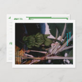 Green Banana Jamaica Briefkaart (Voorkant / Achterkant)