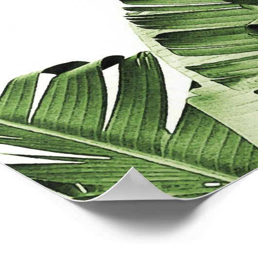 Green Banana Leaf Poster (Hoek)