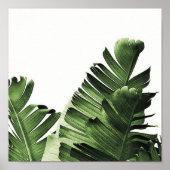Green Banana Leaf Poster (Voorkant)