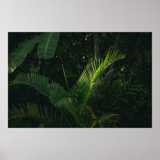 GREEN BANANA TREE TIJDENS DAG POSTER (Voorkant)