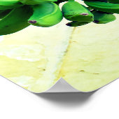 Green Bananas Poster (Hoek)